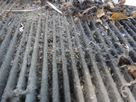 2003 Ford Taurus - A close-up view of a heavily soiled air filter, clogged with organic matter and dust.