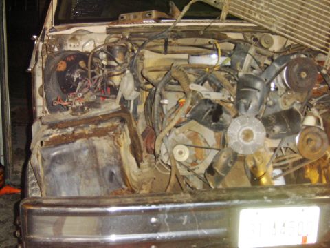 1982 Mercury Zephyr “woody”