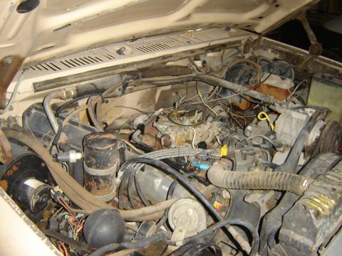 1982 Mercury Zephyr “woody”
