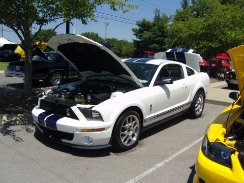2007 Ford Mustang - A white 2007 Ford Mustang GT500, identifiable by its distinctive racing stripes and body style, is displayed with its hood open at an outdo…