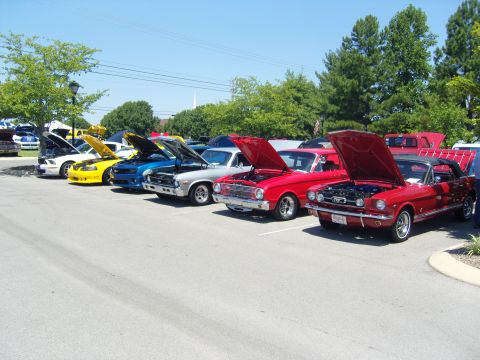 2007 Ford Mustang - Several classic cars are displayed with their hoods open at an outdoor car show.