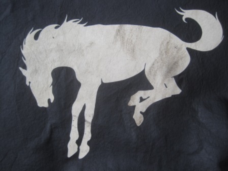 1993 Ford Bronco - A graphic of a bucking horse, the Bronco emblem, is printed on a dark fabric, with a website address visible at the bottom.