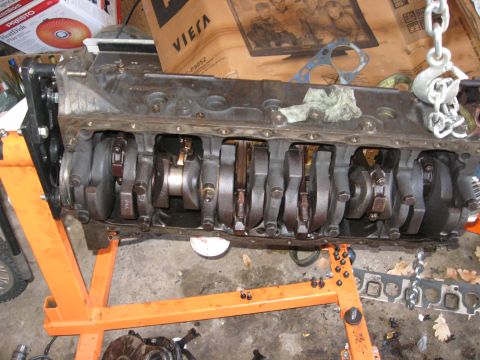 1981 Ford Bronco - The original 300 I6 engine has been taken out and I'm about ready pull it apart to take to the machine shop.