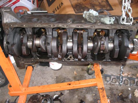 1981 Ford Bronco - Crank bearings removed and time to remove the crank.
