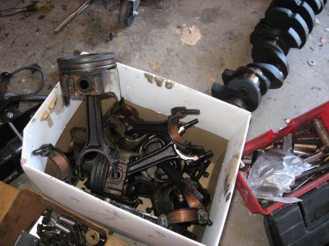 1981 Ford Bronco - All the pistons removed. They look to be in decent shape. No cracks or broken skirts.