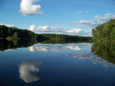 1996 Ford F-150 - A lake reflects the blue sky and fluffy clouds, bordered by a dense forest.