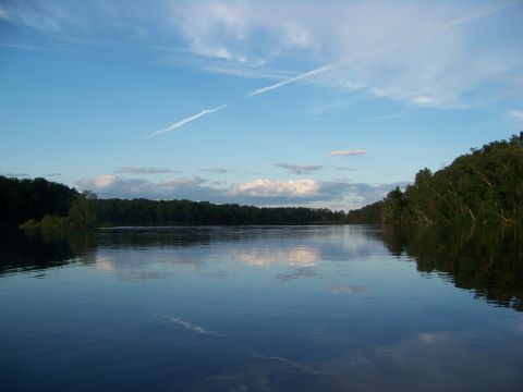 1996 Ford F-150 - A wide expanse of water stretches towards a distant, tree-covered horizon under a partly cloudy sky.