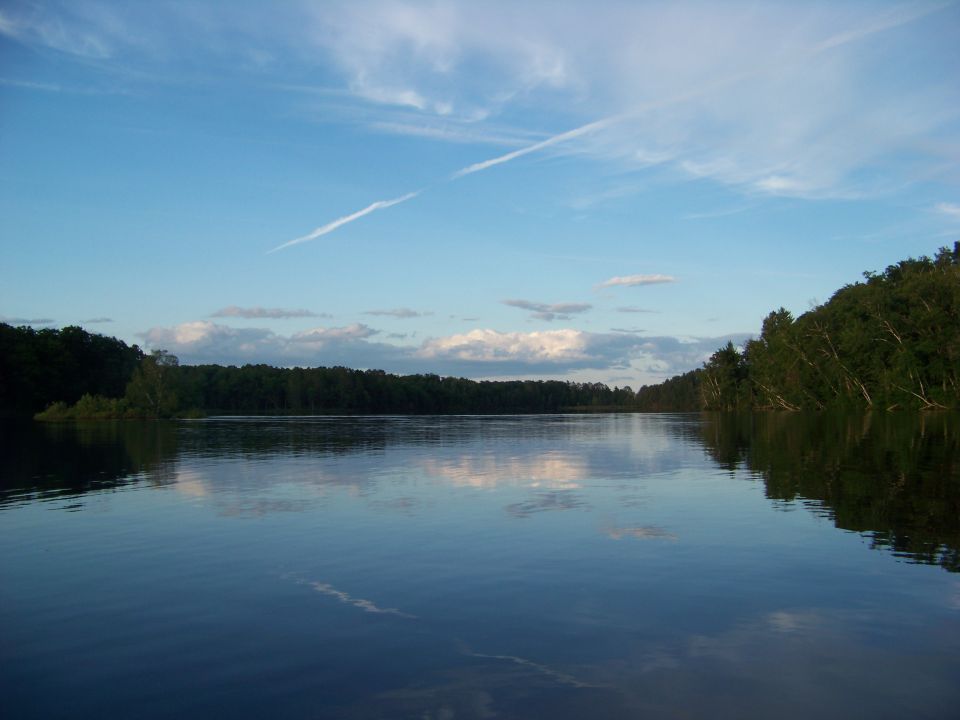 Calm lake reflects blue sky with clouds and a contrail; tree-lined shore on right