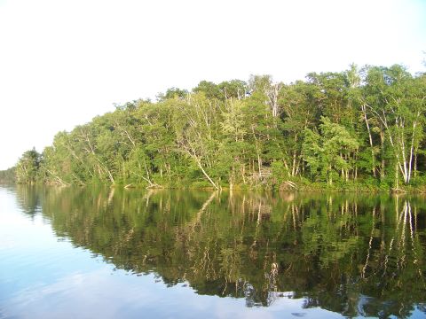 1996 Ford F-150 - A river scene with lush trees lining the bank, their reflections shimmering on the water's surface.