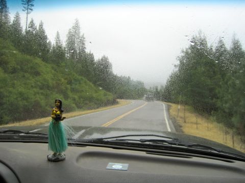 1989 Ford Bronco - Driving on a wet road through a forest with a hula dancer on the dashboard.
