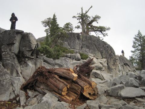 1989 Ford Bronco - A natural scene of fallen logs and rocks on a hillside, with two distant figures observing the landscape.