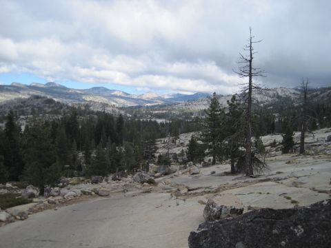 1989 Ford Bronco - A vast mountain landscape unfolds with rocky outcrops, dense pine forests, and a dramatic cloudy sky.