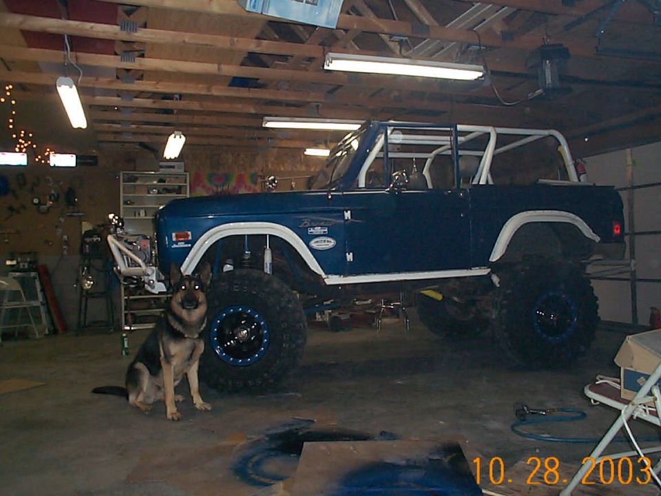 Lifted dark blue Bronco with roll cage and big tires in garage, German Shepherd sitting beside it