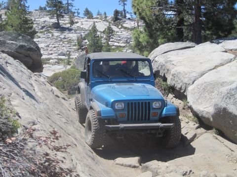 1989 Ford Bronco - Jeep Wrangler tackling a challenging off-road path with large rocks and trees.