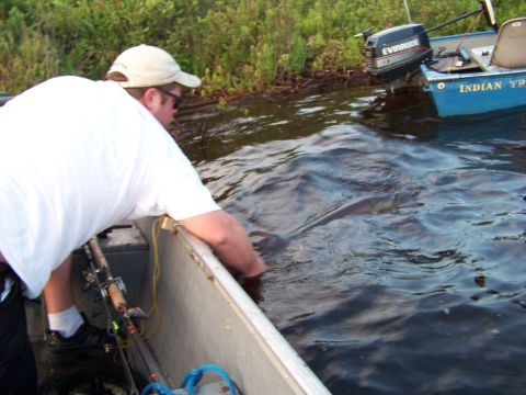 1996 Ford F-150 - Two boats on the water with a person reaching into the lake.