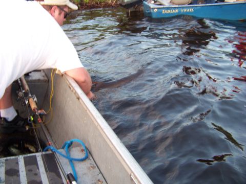 1996 Ford F-150 - A person in a boat is reaching into the water, possibly to grab a fish, while another boat is visible in the background.
