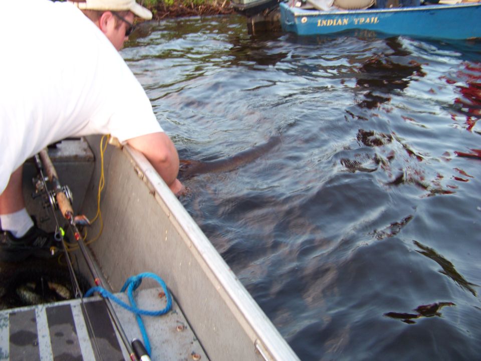 Person in boat reaching for a fish in the water. Another boat is nearby