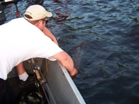 1996 Ford F-150 - A person in a boat attempts to grab something from the water, with fishing gear nearby.