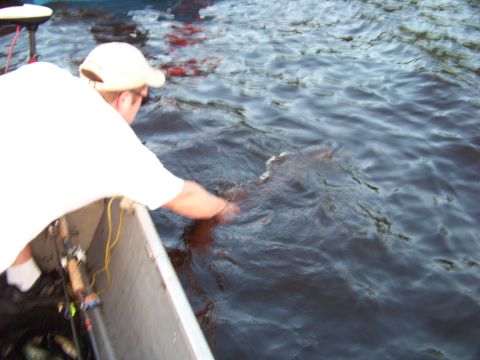 1996 Ford F-150 - A person in a boat reaches into the water, with a fishing rod nearby, suggesting an activity like fishing.