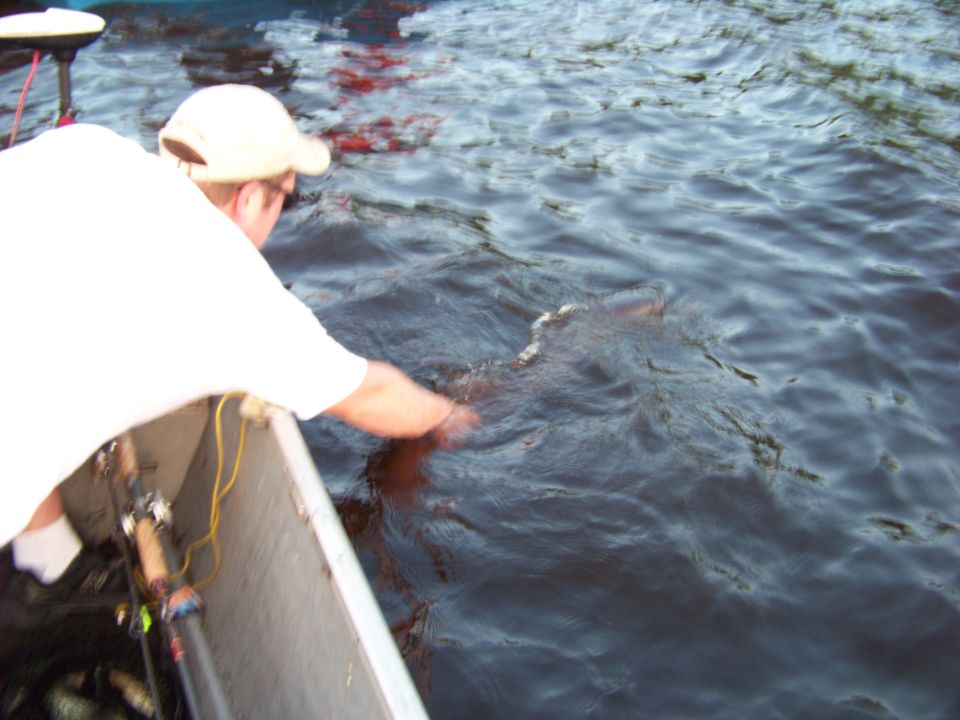 Person reaching into dark water from a boat, fishing rod visible