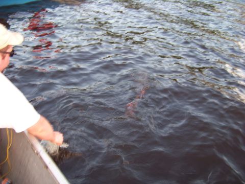 1996 Ford F-150 - Fishing trip in Wisconsin during June 2012.