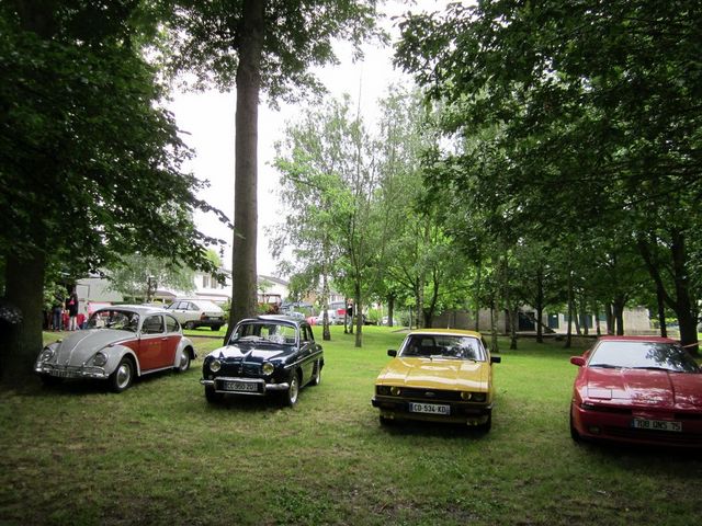 Four cars parked on grass under trees: a two-tone VW Beetle, a dark sedan, a yellow sedan, and a red coupe