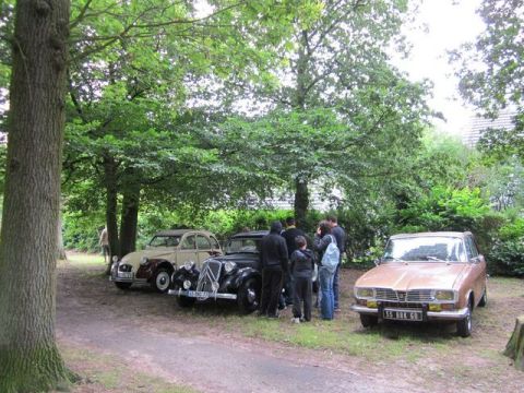 1991 Ford LTD Crown Victoria - A group of people gather around vintage cars parked outdoors on a cloudy day.