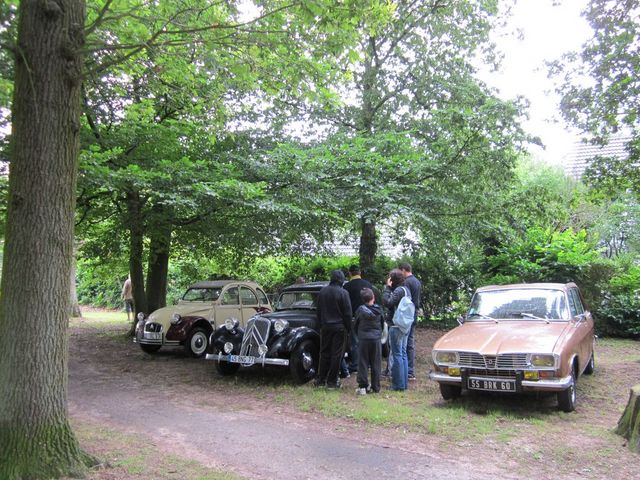 Three vintage cars parked on a dirt path under trees; two people stand near the middle car