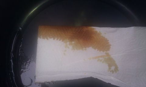 1991 Mercury Grand Marquis - Transmission fluid stain on paper towel, likely from a fluid change.