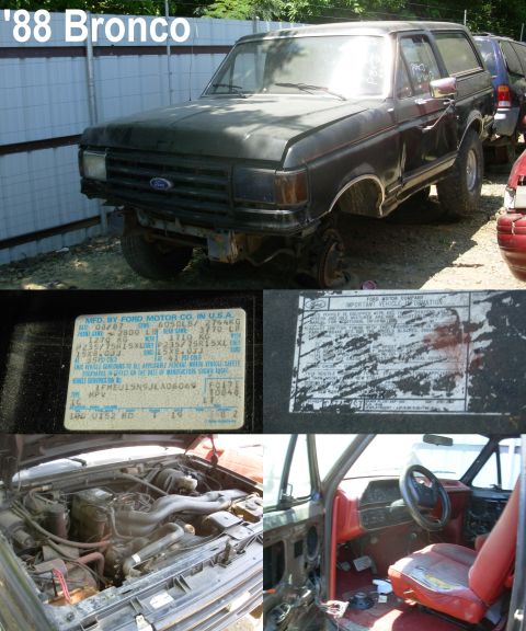 1983 Ford Bronco - Black '88 Bronco