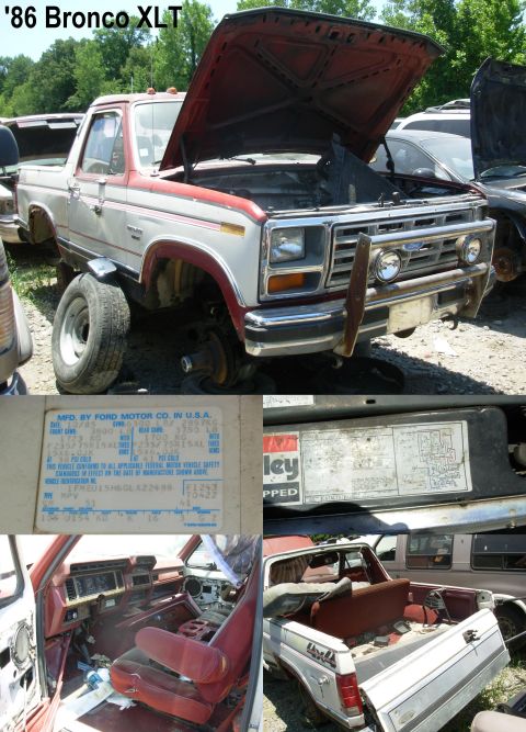 1983 Ford Bronco - White & Red '86 Bronco XLT