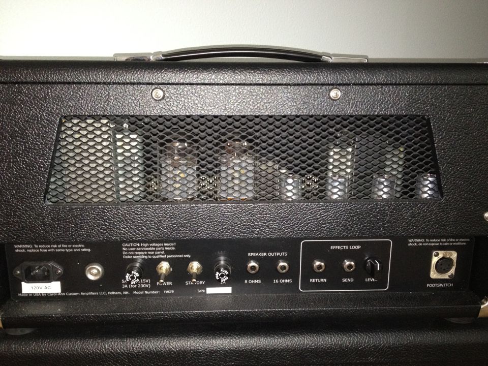Back panel of a black amplifier showing tubes, speaker outputs, effects loop, and power input