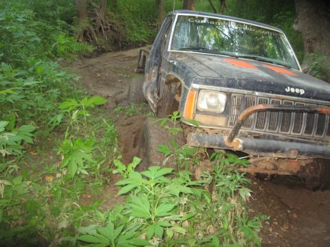 1987 Jeep Comanche - A black 1987 Jeep Comanche is stuck in a muddy off-road trail, with trees and foliage surrounding it.