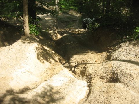 1987 Jeep Comanche - A challenging off-road trail carved through a forest, with sandy soil and deep tracks.