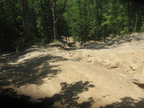 1987 Jeep Comanche - A rough off-road trail winds through a wooded area, with a tire swing hanging from a tree branch.