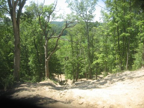 1987 Jeep Comanche - Off-road trail scene with a tire swing hanging from a tree.