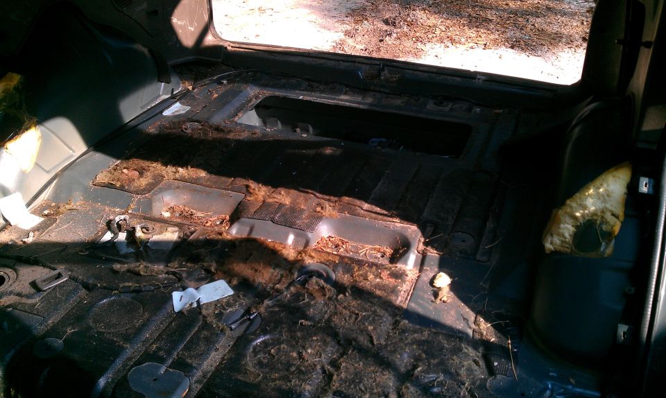 Stripped SUV interior showing bare, rusty, debris-covered floor pan with rear hatch open