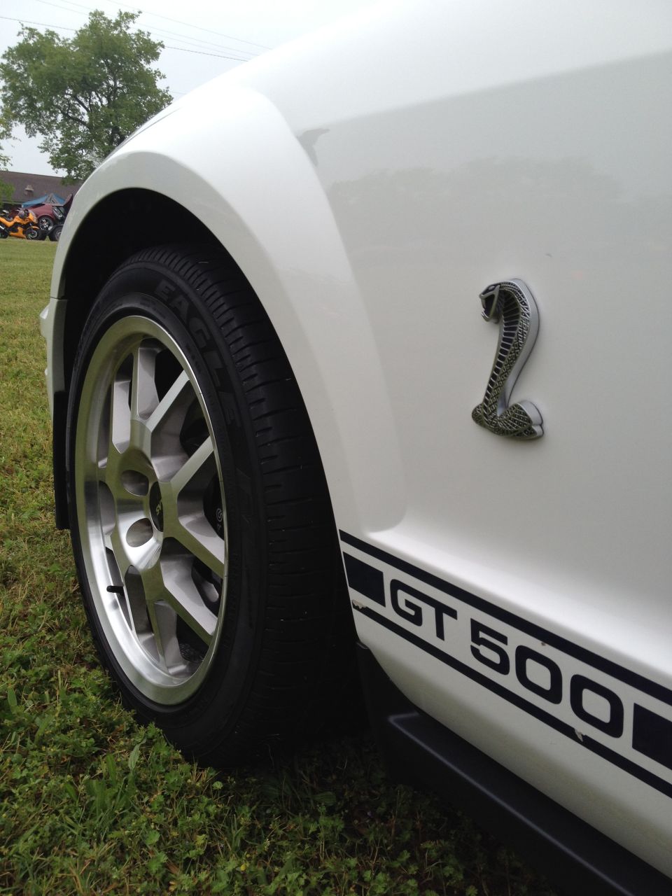 Side view of a white 2007 Ford Mustang GT500 with a cobra emblem and GT500 side stripe