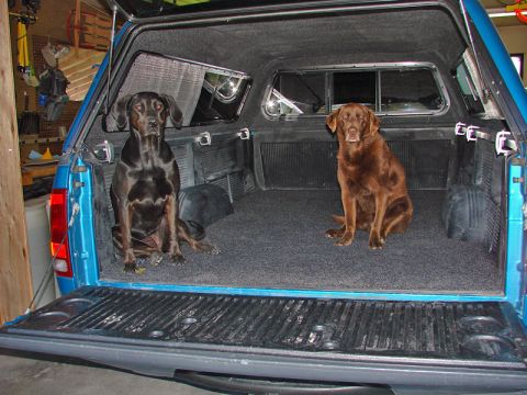 1998 Ford F-150 photo
