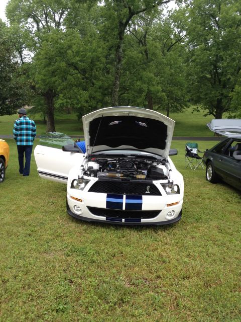 2007 Ford Mustang - A white Ford Mustang Shelby GT500 is displayed with its hood open, parked on a grassy field.