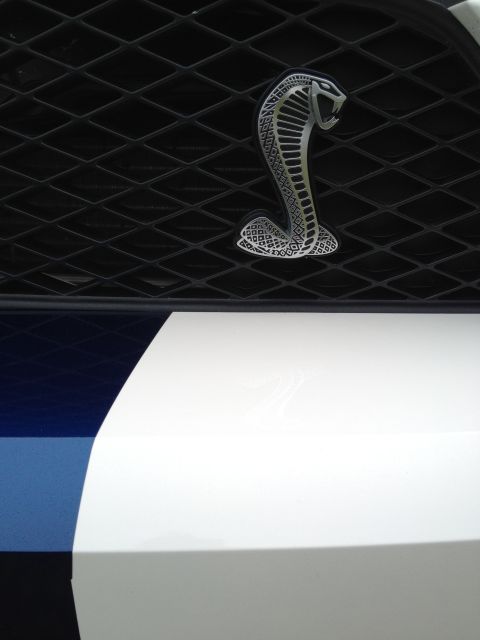 2007 Ford Mustang - The iconic Cobra emblem adorns the grille of this 2007 Ford Mustang, accented by bold white and blue racing stripes.