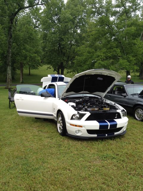 2007 Ford Mustang - White 2007 Ford Mustang Shelby GT500 with blue stripes, hood and driver door open, parked on grass.