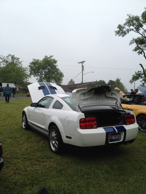 2007 Ford Mustang - A white Ford Mustang with blue racing stripes is displayed with its hood and trunk open at an outdoor car show.