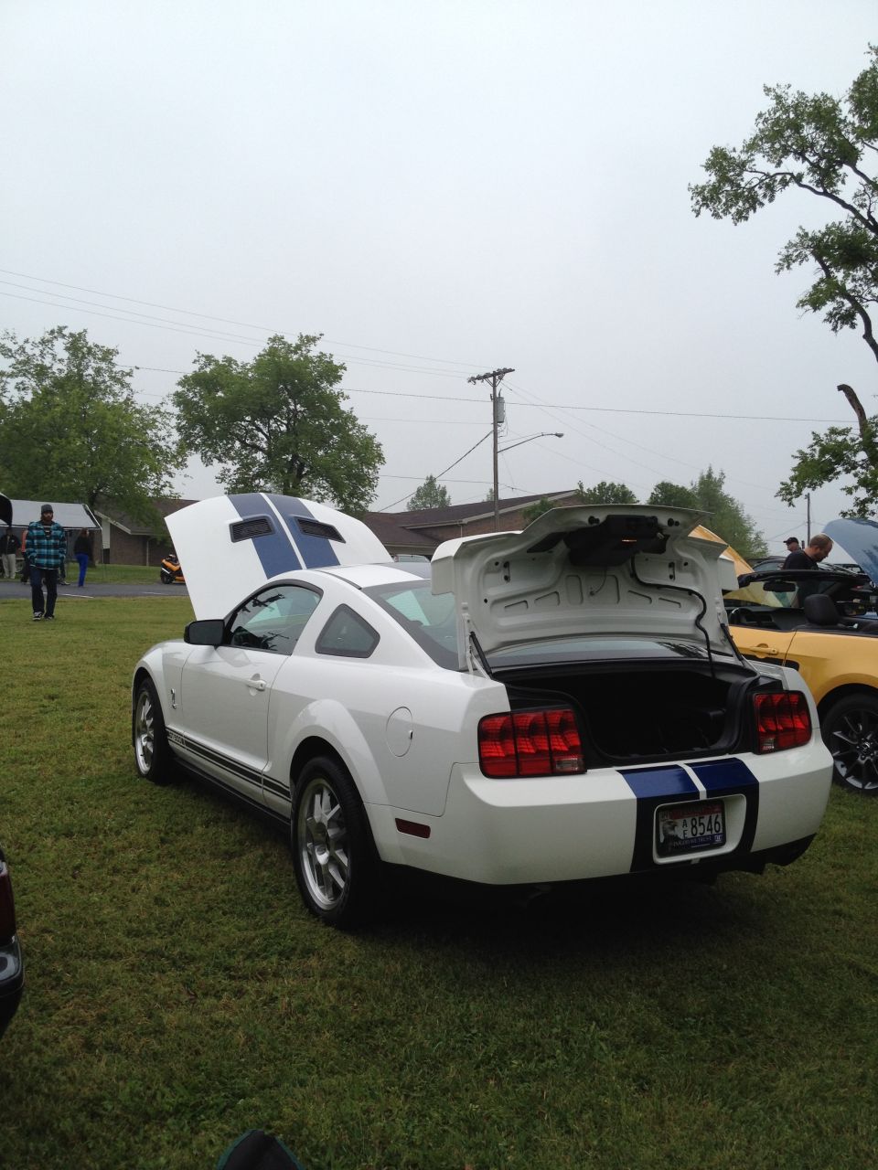White Ford Mustang with blue racing stripes, hood and trunk open, parked on grass