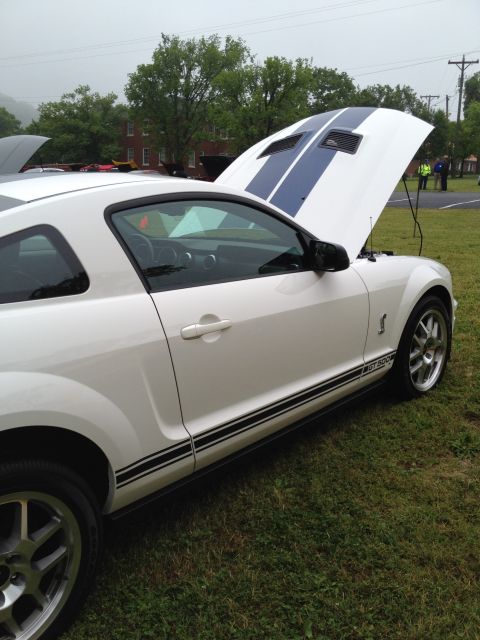 2007 Ford Mustang - A white 2007 Ford Mustang GT500 with blue racing stripes is parked on grass with its hood open.