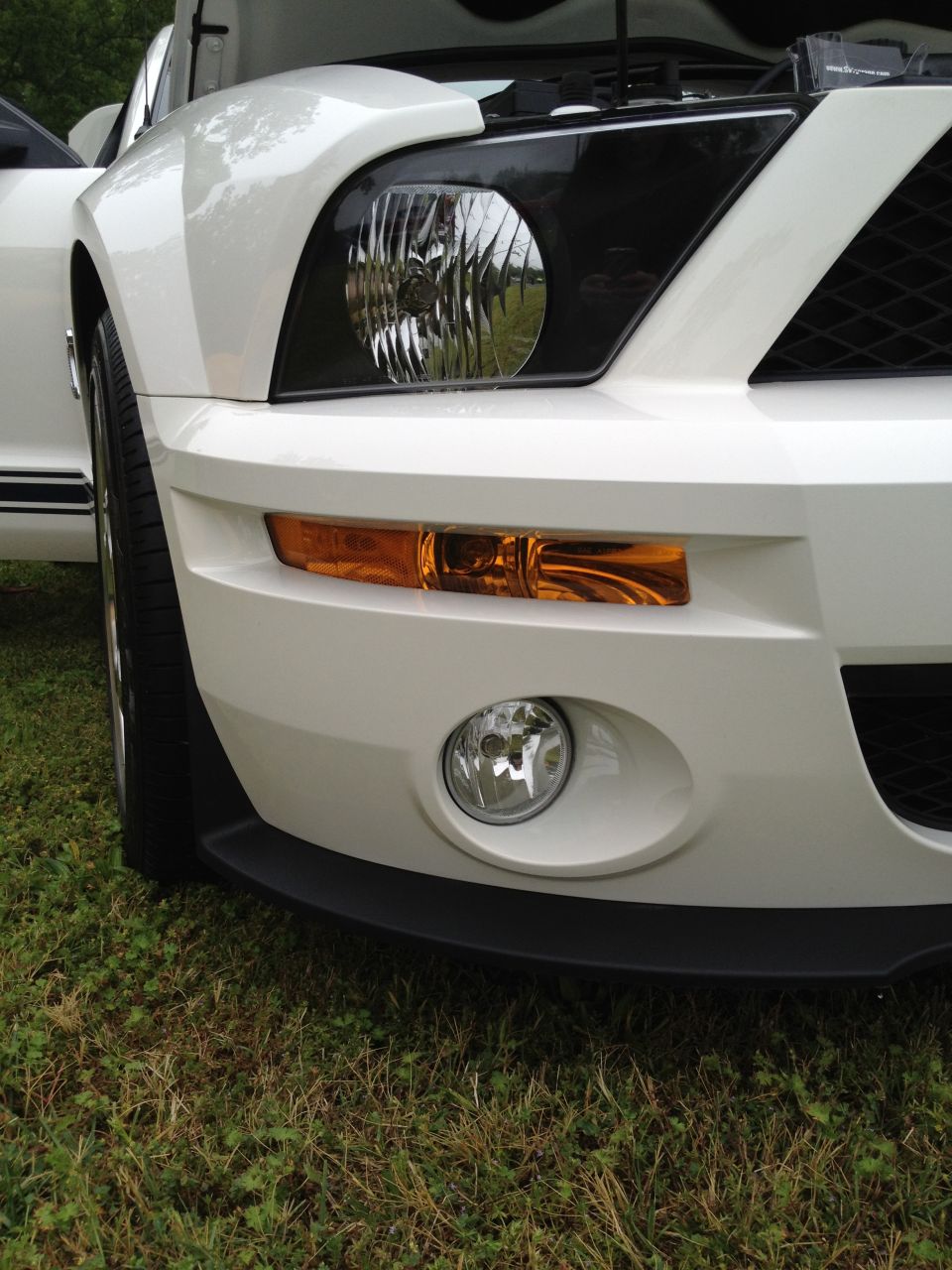 Front corner of a white Ford Mustang with hood open. Black grille and headlights visible