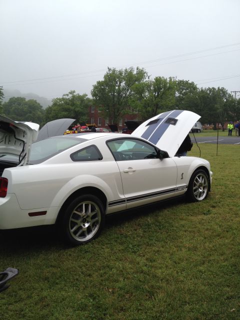 2007 Ford Mustang - A white 2007 Ford Mustang with blue racing stripes on the hood is parked on grass with its hood open.