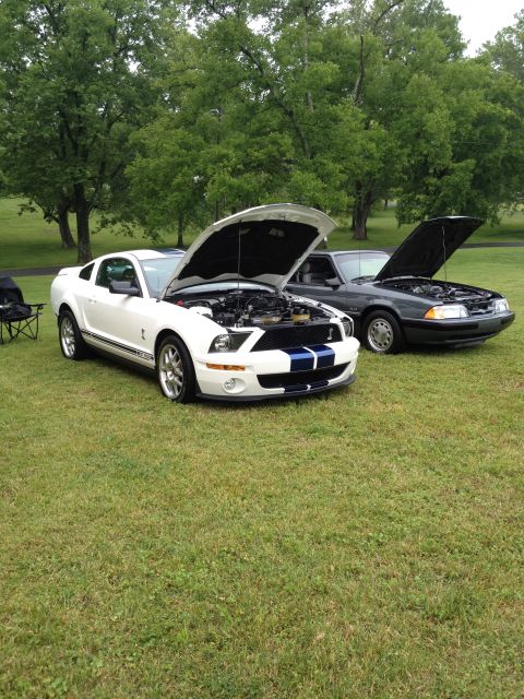 2007 Ford Mustang - Two Ford Mustangs, one white and one dark gray, are parked on a grassy lawn with their hoods open.