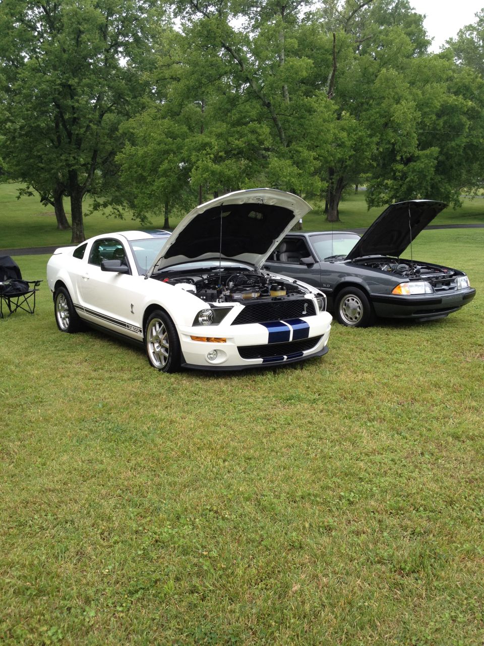 White 2007 Ford Mustang GT500 with blue stripes and a dark gray older model Mustang parked on grass, both with hoods open