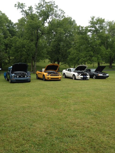 2007 Ford Mustang - A collection of Ford Mustangs, including a blue, yellow, white, and black model, are displayed with their hoods open on a grassy field.